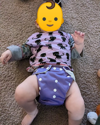 <p>I hate pocket diapers. I know they are probably the most common type of cloth diapers that people use. Still, I think that stuffing pocket diapers is one of the main reasons people quit cloth diapers. I prefer everything sewn together into one piece, and in this post, I will show you how I did it.</p>
